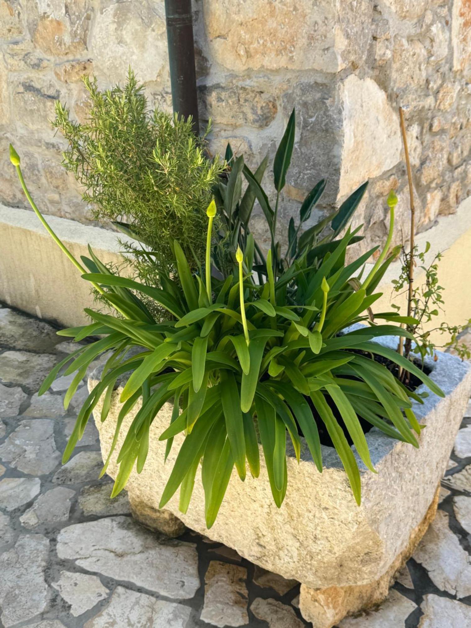 Mediterranes Ferienhaus M. Terrasse Вели-Лошинь Экстерьер фото