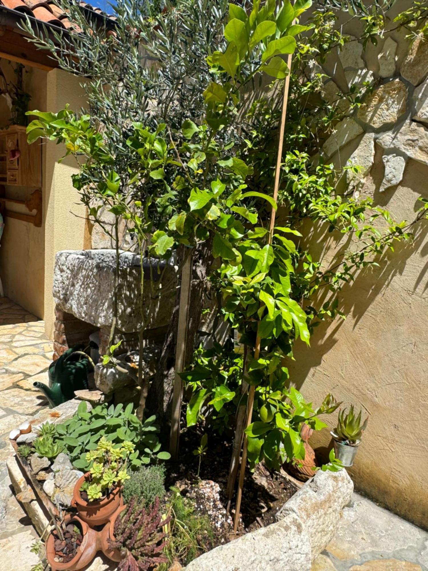 Mediterranes Ferienhaus M. Terrasse Вели-Лошинь Экстерьер фото